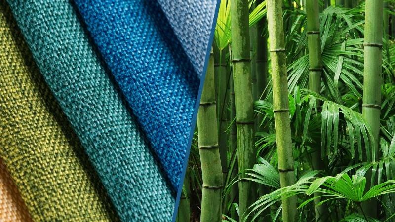 Bamboo Fabric: Is it Truly&nbsp;Sustainable?