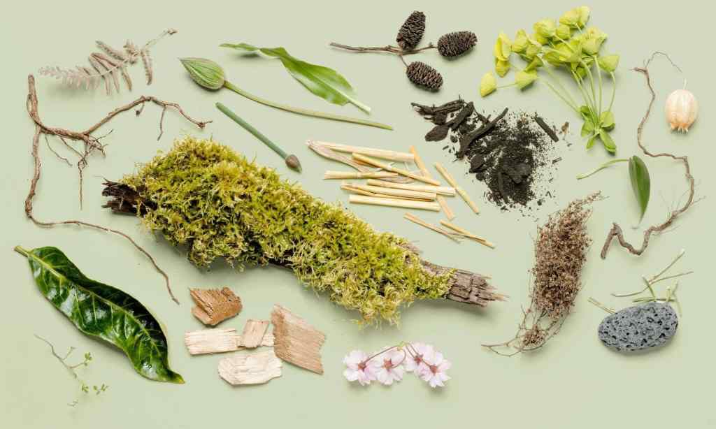 How You Can Save the Planet After You Die: Natural Organic Reduction&nbsp;(NOR)